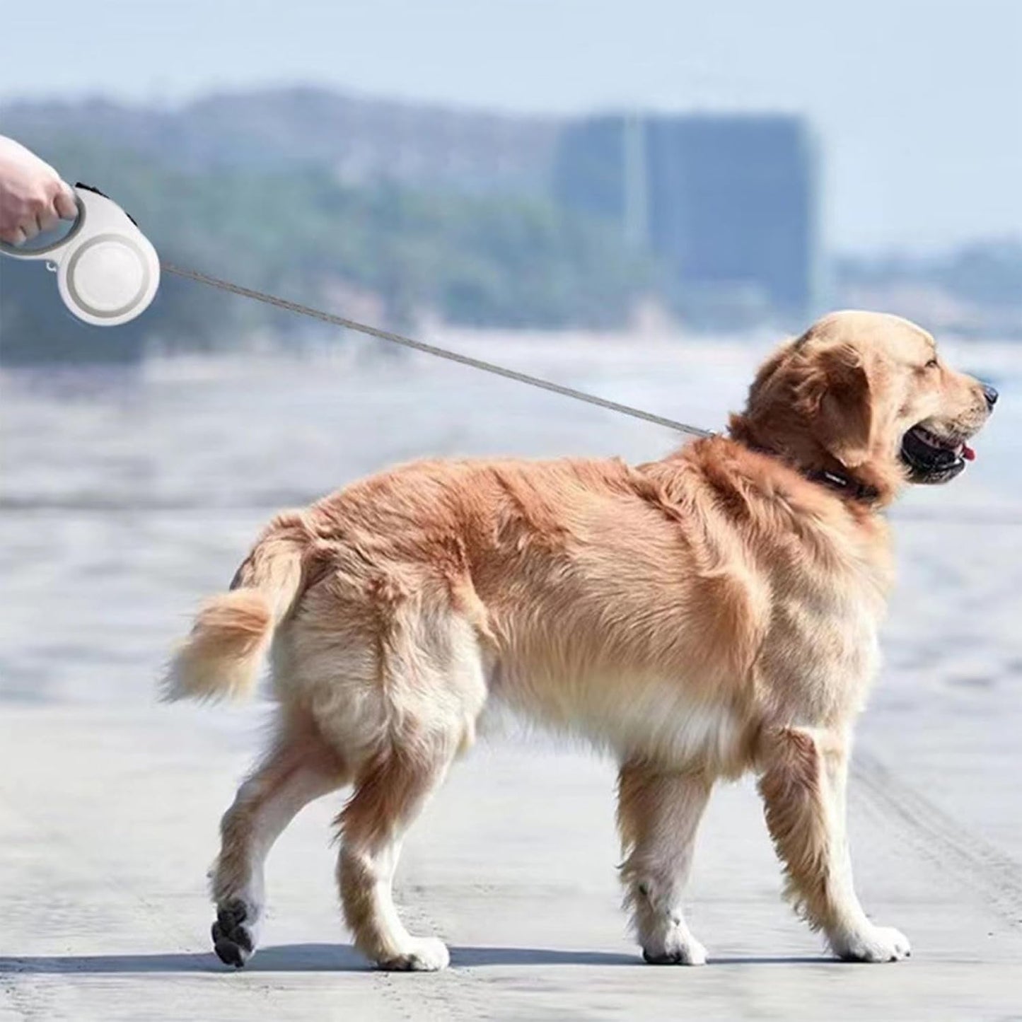 Retractable Dog Leash
