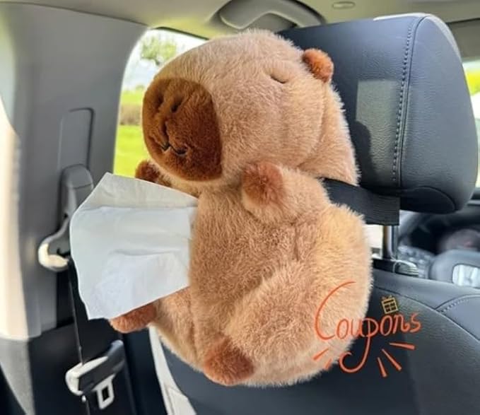 Car Tissue Holder for Car