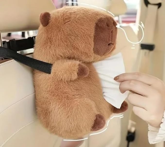 Car Tissue Holder for Car