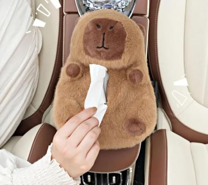 Car Tissue Holder for Car